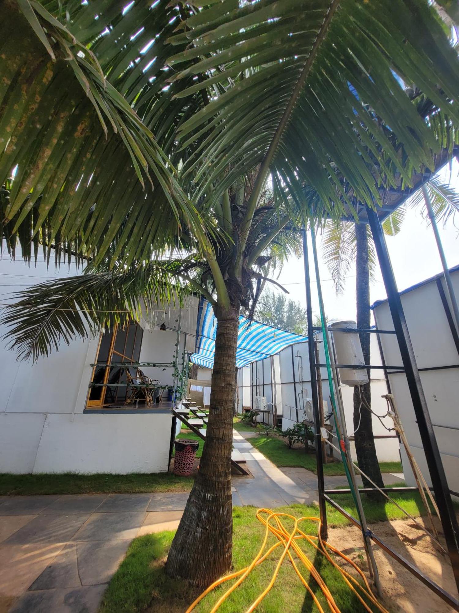 Kashinath Beach Huts Bed & Breakfast Agonda Exterior photo